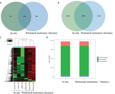 Comprehensive analysis of m6A-modified circRNAs in peritoneal metastasis of high grade serious carcinoma of ovary